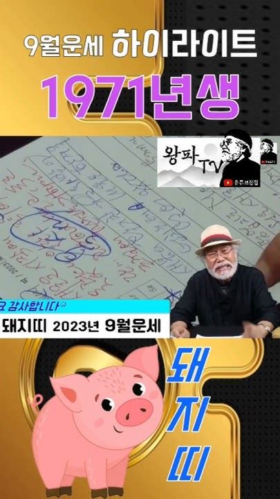 2023년 9월 돼지띠운세 1971년생 9월운세 1971 돼지띠운세 이달의운세 무료운세 무료타로 Shorts