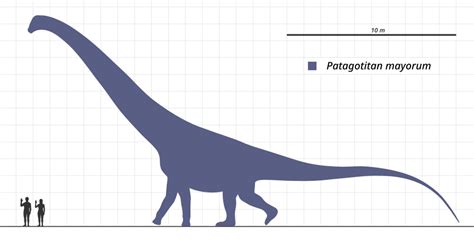 Gigantes Prehistóricos Los Dinosaurios de la Patagonia