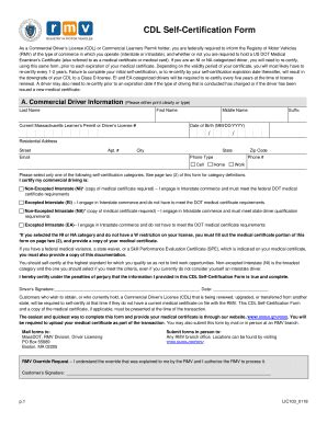 Fillable Online Cdl Self Certification Form Fax Email Print Pdffiller