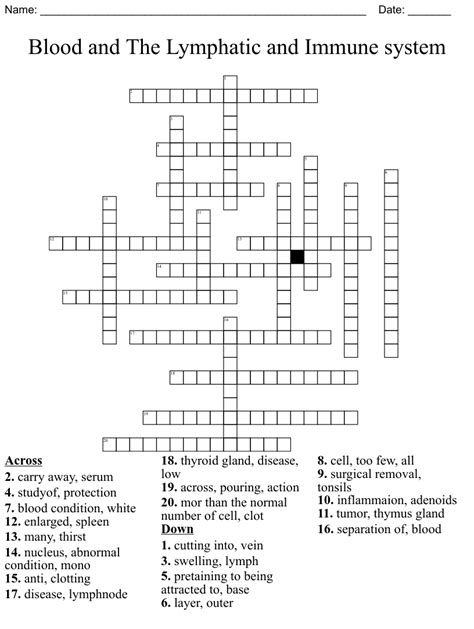 Blood And The Lymphatic And Immune System Crossword Wordmint