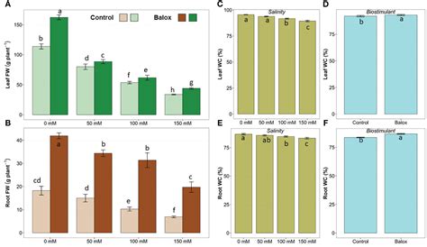 Frontiers Mitigation Of Salt Stress In Lettuce By A Biostimulant That Protects The Root