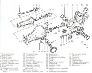 Esquema De Las Partes Del Diferencial Cono Casquillo Rodamientos Y