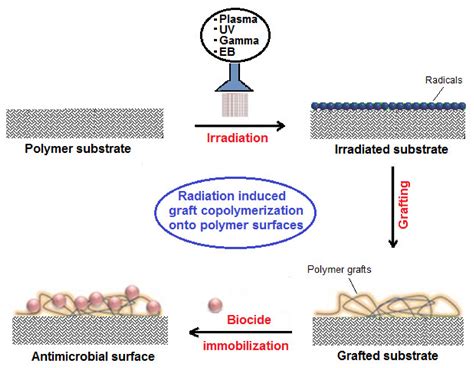 Polymers Free Full Text Engineered Bioactive Polymeric Surfaces By