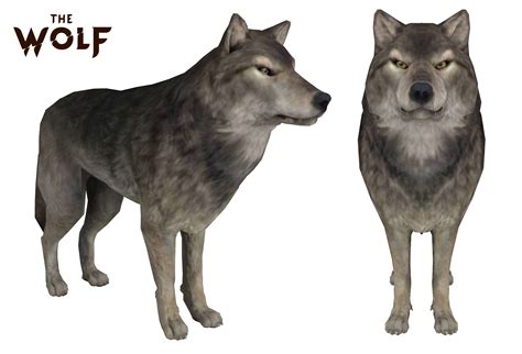 The Wolf Gray Wolf By Maxdemon6 On Deviantart