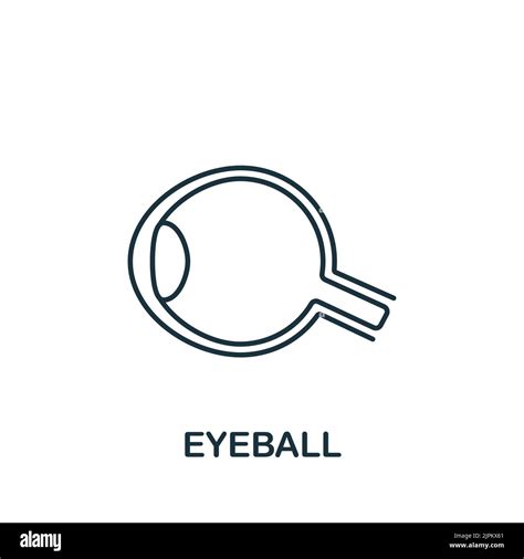 Eyeball Icon Simple Line Element Symbol For Templates Web Design And