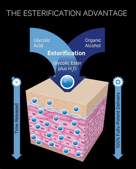 Glycolic Esterification – GlyDerm