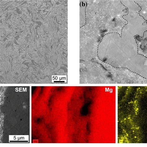 Sem Micrographs Of A Cross Section Of A Hiped Mg Nanocomposite Download Scientific Diagram