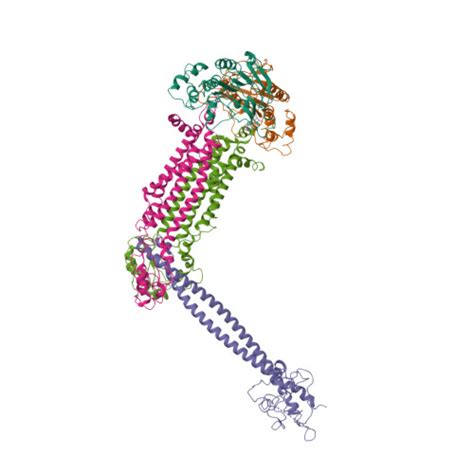 RCSB PDB 8JIA Cryo EM Structure Of Mycobacterium Tuberculosis ATP