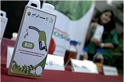 Biodiesel Energi Alternatif Yang Bersahabat Dengan Lingkungan Halaman