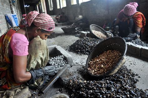 Cashew Nut Processing