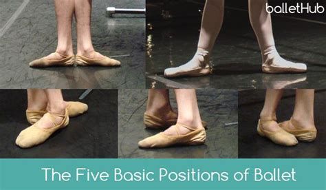 basic positions  ballet ballethub ballet lessons ballet