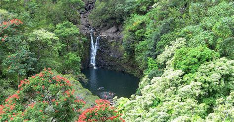 Maui's Best Waterfall Adventures - Maui Goodness