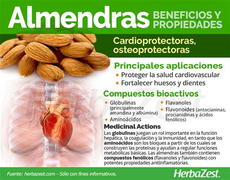 Pèlerin Sédatif Couvert propiedades nutricionales de las almendras