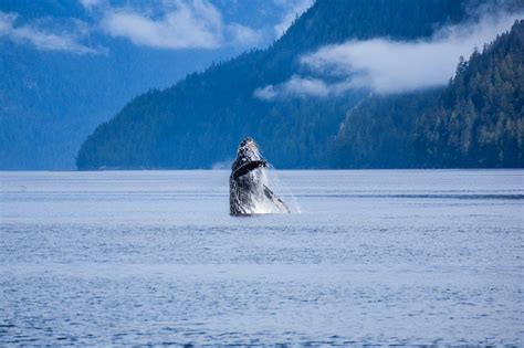 2022 Alaska Flotilla Leg 1b Day 6 Aaltanhash Bishop Bay Hot