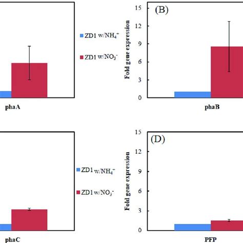 Effects Of Ammonium NH 4 And Nitrate NO 3 On The Expression Of