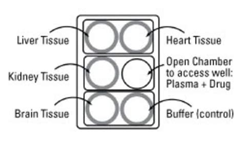 Thermo Scientific™ Rapid Equilibrium Dialysis Red Inserts And Plates