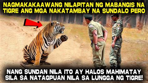 Nilapitan Ng Mabangis Na Tigre Ang Mga Sundalo Hanggang Sa Sunang Nila