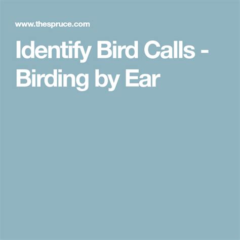 Bird Calls Identification Tips - Birding by Ear | Bird calls ...