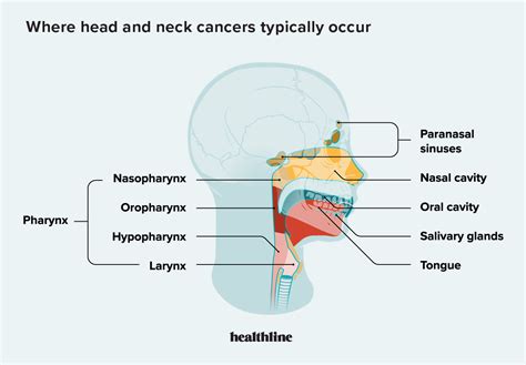 Jaw Cancer: Symptoms, Causes, Treatment, Outlook, and More