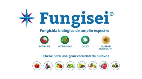 Fungisei fungicida biológico de amplio espectro YouTube