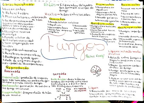 MAPA MENTAL SOBRE FUNGOS Maps4Study