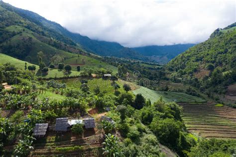 Terraced Rice Paddy Field In Chiang Mai Thailand Stock Photo Image