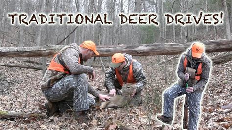 Traditional Deer Hunting Drives Youtube