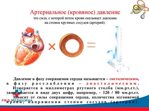 Школа здоровья для пациентов с артериальной гипертонией - презентация ...