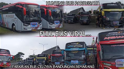 Konvoi Bus Viral Full Telolet Basuri Dav Air Horn Di Celosia Bandungan