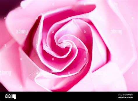 Pink Origami Rose Stock Photo Alamy