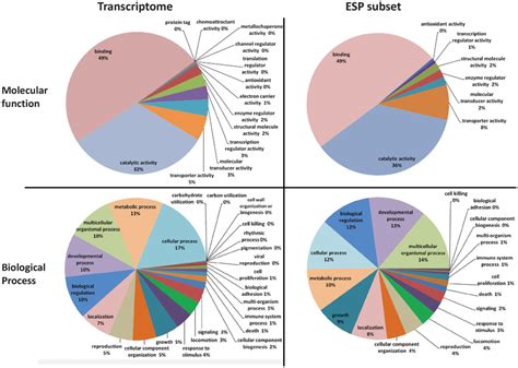 Molecular Function And Biological Process Go Terms Level For The