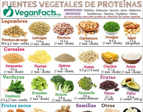 Re Corriendo el Mundo del Deporte Alimentos Vegetales ricos en Proteínas