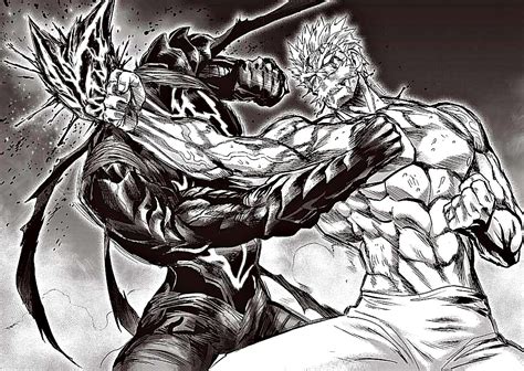 GAROU VS SILVER FANG One Punch Man Manga One Punch Man One Punch