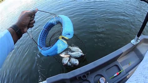 Fast And Easy Way To Catch More Fall Crappie Spider Rigging Youtube