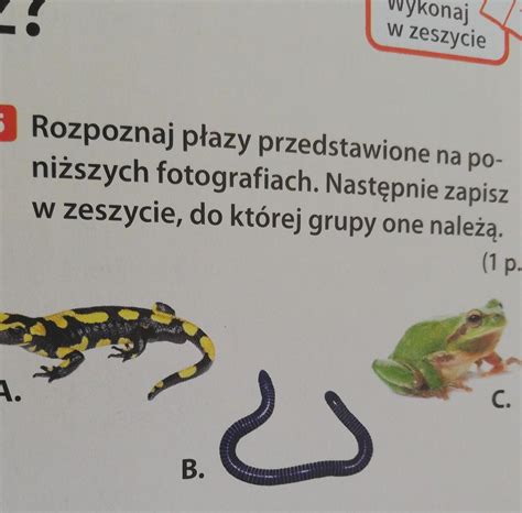 Rozpoznaj Plazy Na Przedstawione Na Poni Szych Fotografiach Nast Pnie