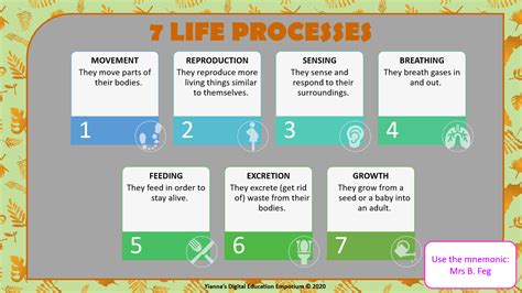 Living Things 7 Life Processes Gr 4 Term 1 NS Teacha