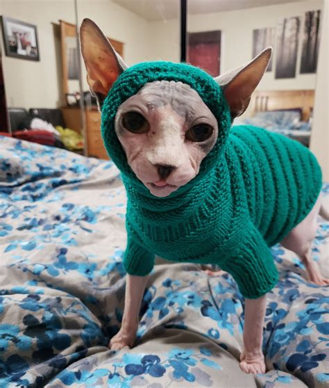 Clothing For Cats Clothes For Sphynx Cat Clothes Sweater Etsy