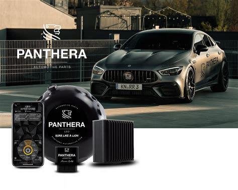 Tuning Mechaniczny Panthera Automotive Aktywny Wydech Panthera Leo