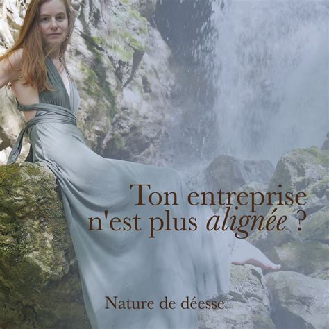 R Aligne Ton Entreprise Avec Tes D Sirs Profonds Nature De D Esse