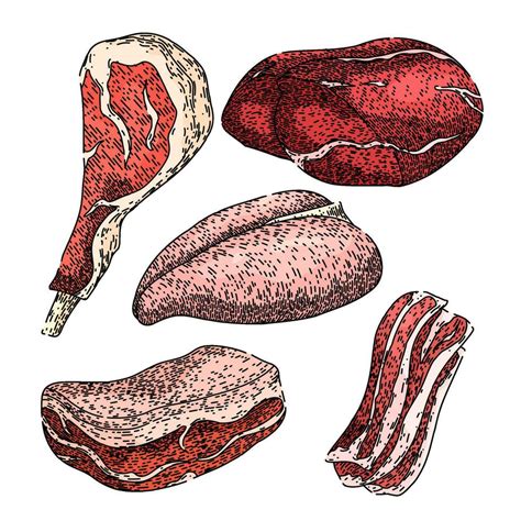 meat set sketch hand drawn vector  vector art  vecteezy
