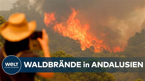 Waldbr Nde In Spanien Hektar Fl Che In Provinz Malaga Verw Stet