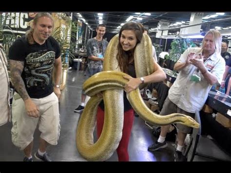 longest snake in the world ever recorded