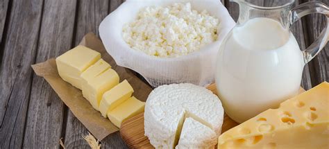 Молочные продукты - АЮРВЕДИКА