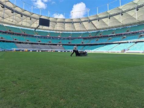 Bahia X Botafogo Onde Assistir Ao Vivo Horário E Escalações