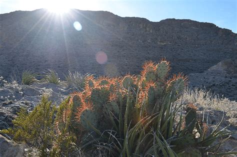 How to Make the Most of 2 Days in Big Bend National Park and Terlingua