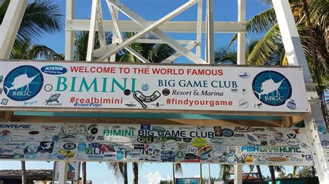 Bimini Big Game Resort And Marina 2020 All You Need To Know BEFORE