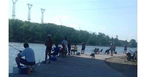 Сафрид и карагьоз под Аспаруховия мост