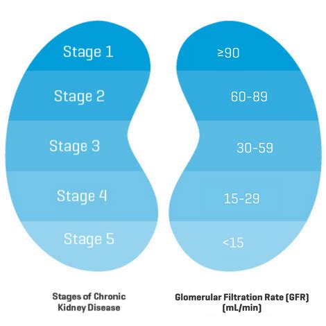 Stage 3 Chronic KIdney Disease (CKD) | My Kidney Journey