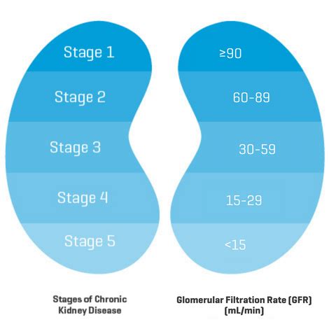 Stage 3 Chronic KIdney Disease (CKD) | My Kidney Journey