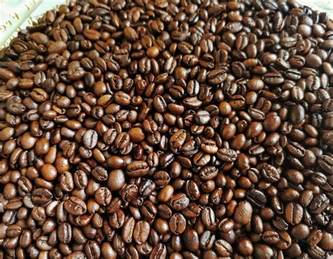 mengenal  jenis kopi  karakteristiknya rakamin academy